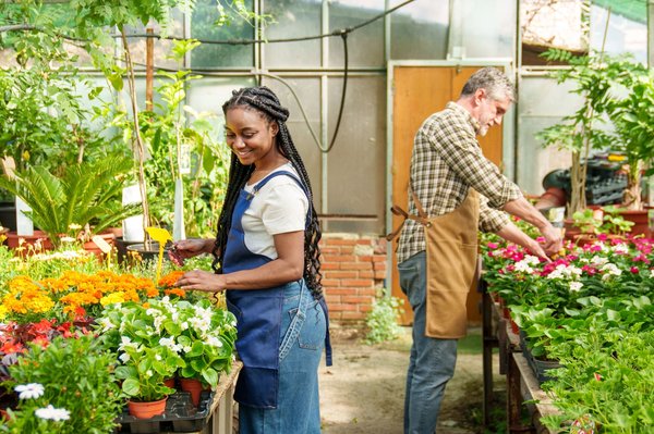 Que devriez-vous savoir sur une coopérative agricole ?