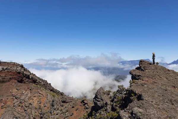 Quelle est la méthode la plus efficace pour congeler des herbes aromatiques ?
